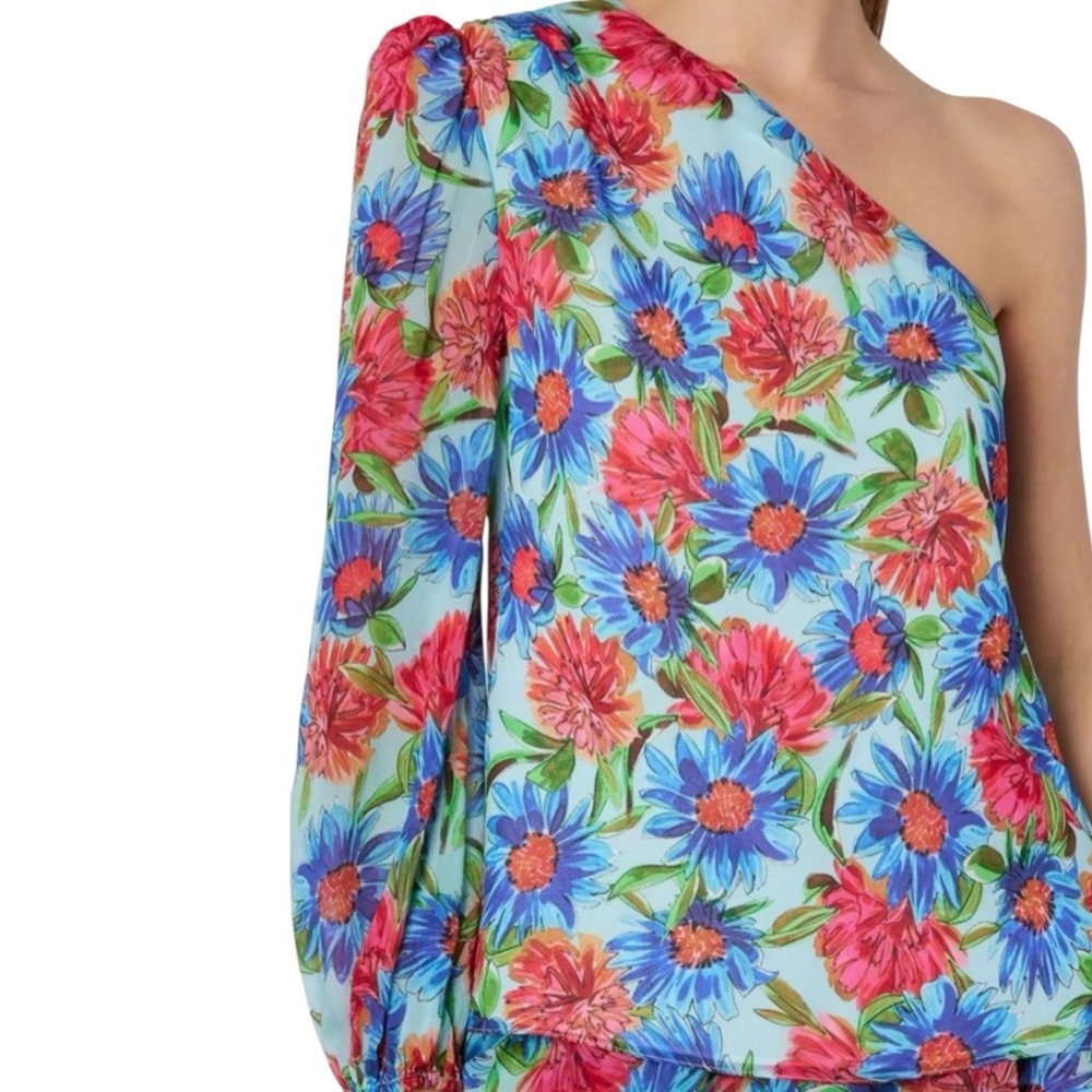 MILLY Emilia Painted Watercolor‎ Dahlia Print Top Blouse One Arm Chiffon Sz S